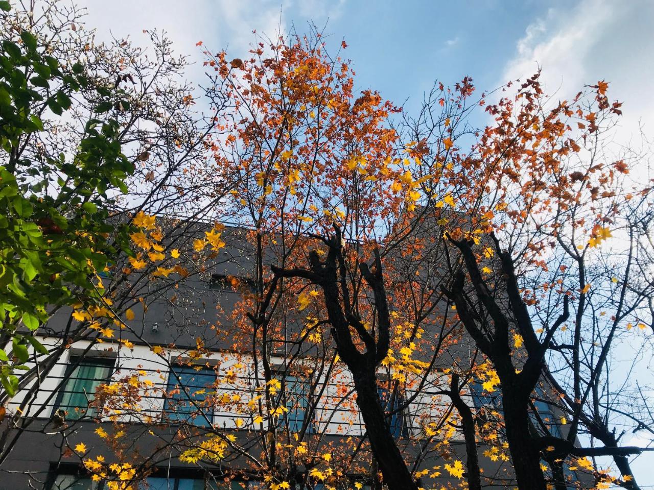 Naru Guesthouse Seoul Exterior photo