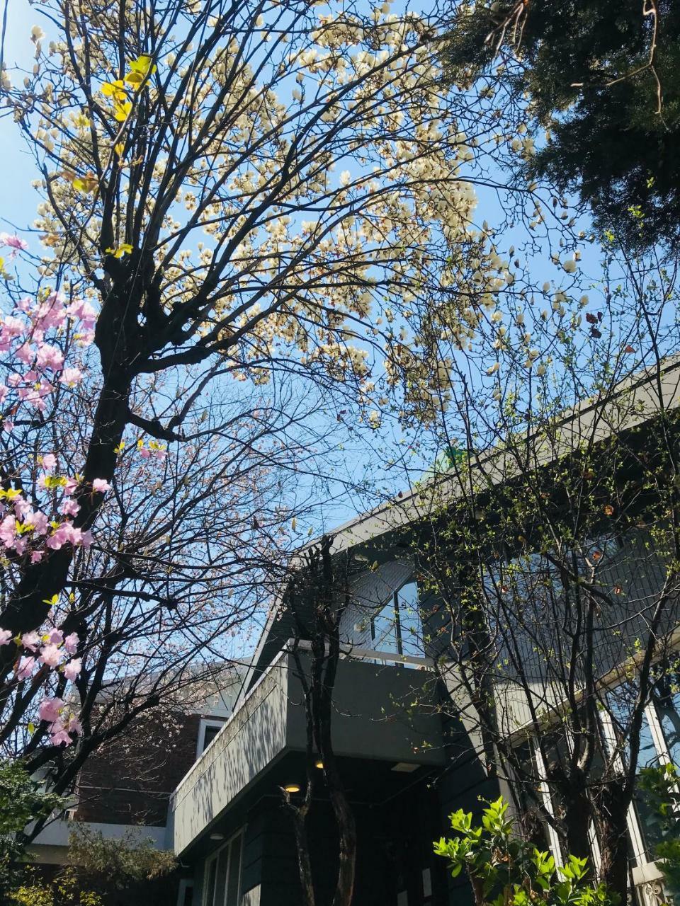 Naru Guesthouse Seoul Exterior photo